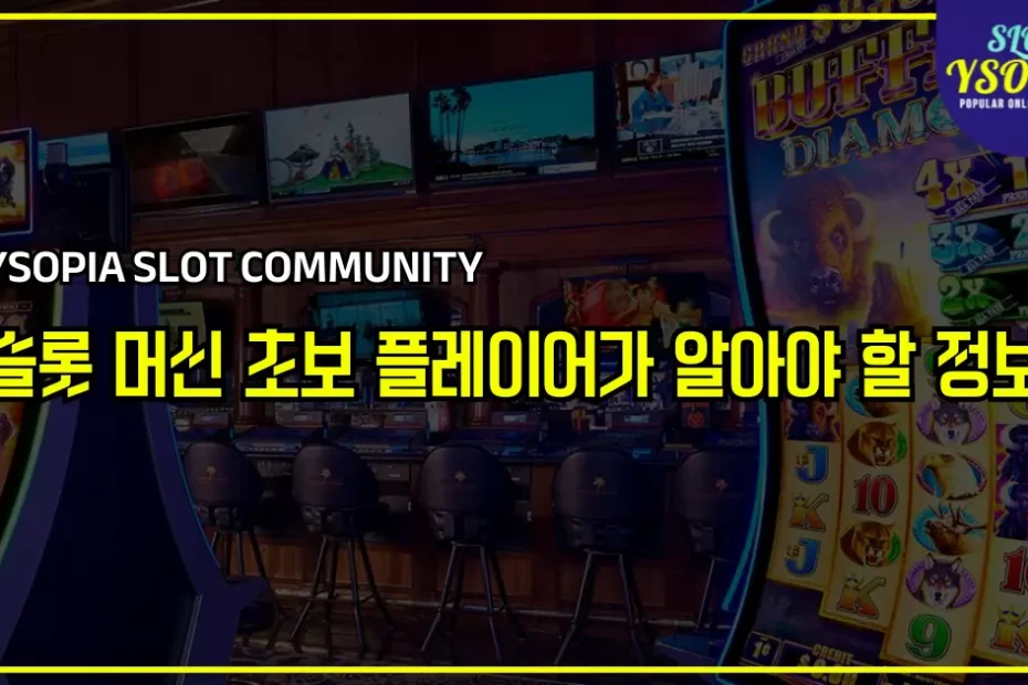 2025년에 슬롯 머신 초보 플레이어가 알아야 할 요약 정보