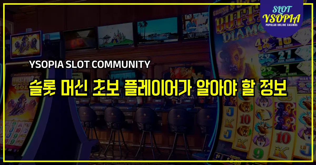 2025년에 슬롯 머신 초보 플레이어가 알아야 할 요약 정보